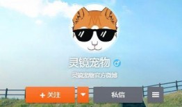 宠物爆料博主视频下载,萌宠日常大揭秘